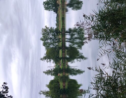 Lac.jpg
